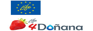 LIFE4DOÑANA