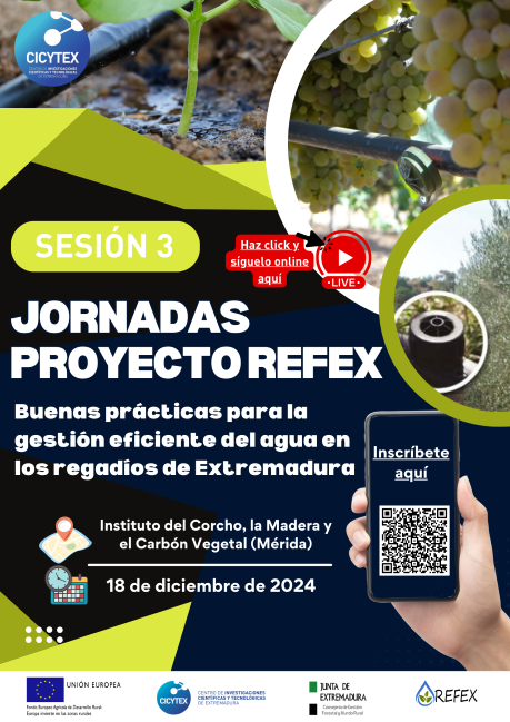 aFinal_Portada_Jornada_18_Diciembre_REFEX_ICMC