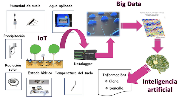 iot