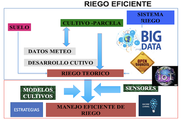 riegoefi