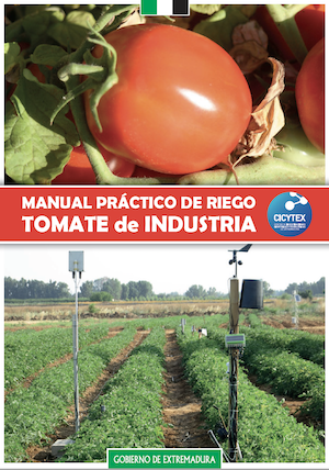tomate