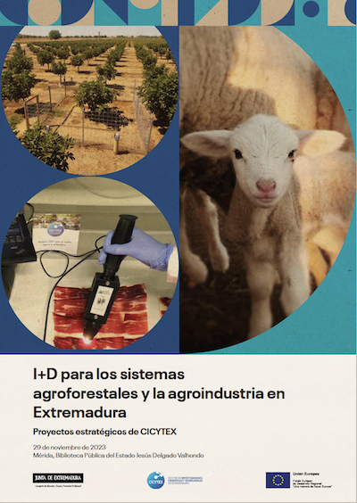 Jornadas11